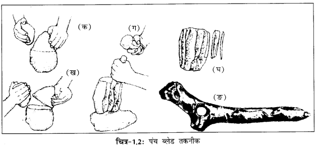 NCERT Solutions for Class 11 History Chapter 1 (Hindi Medium) 3