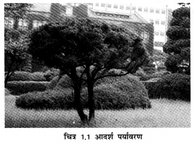 NCERT Solutions for Class 7 Social Science Geography Chapter 1 (Hindi Medium) 4