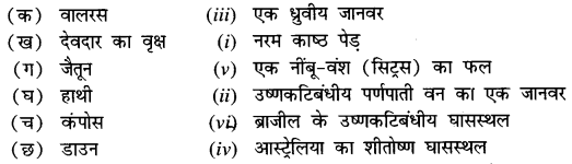 NCERT Solutions for Class 7 Social Science Geography Chapter 6 (Hindi Medium) 2