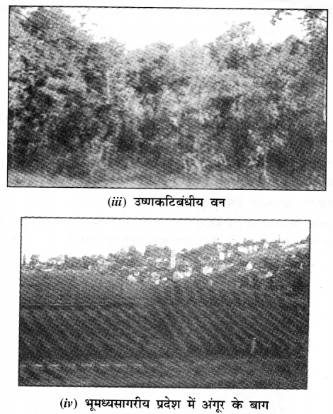 NCERT Solutions for Class 7 Social Science Geography Chapter 6 (Hindi Medium) 5