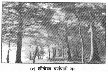 NCERT Solutions for Class 7 Social Science Geography Chapter 6 (Hindi Medium) 6
